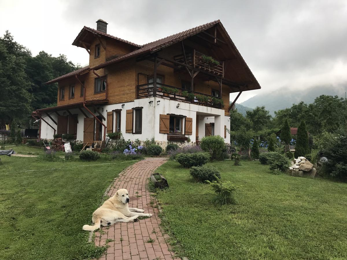 Gasthaus Maria Borlova Exterior foto